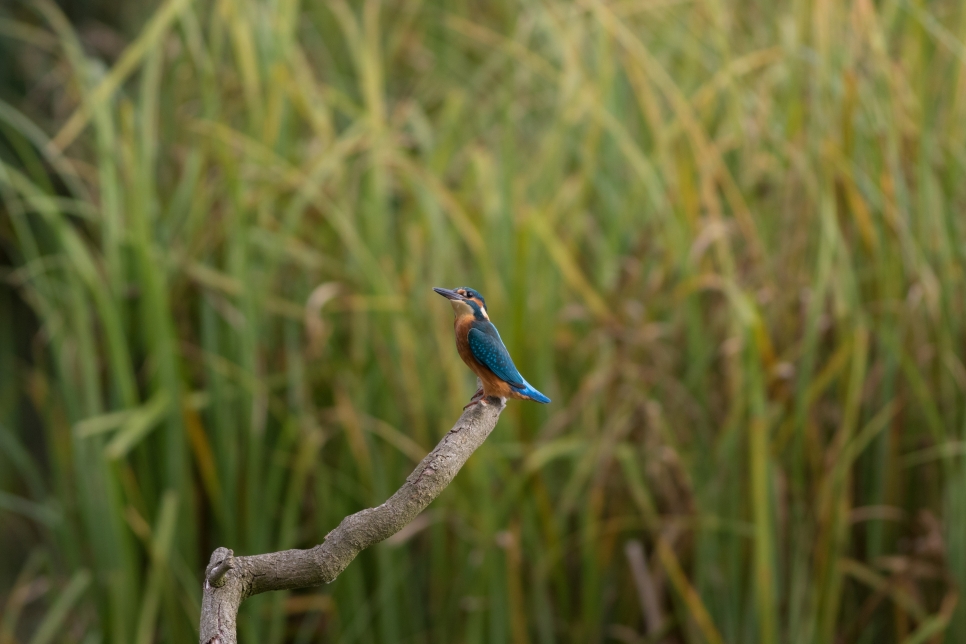 Latest Sightings